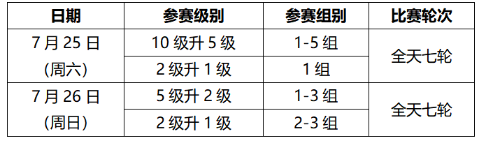 2026年北京市第二届“兴弈杯”青少年业余围棋级位赛补充规定